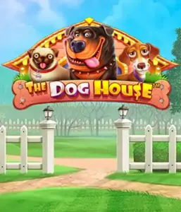 От Pragmatic Play представлен слоте The Dog House, демонстрирующий очаровательное приключение среди очаровательных собак. Наслаждайтесь игровых элементах таких как бесплатные вращения, разработанных для предоставления радостных моментов. Обязательно для любителей животных забавную атмосферу и возможностью выиграть крупно.